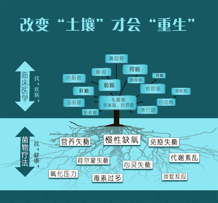 美国麦科尚菌物营养干预菌物疗法