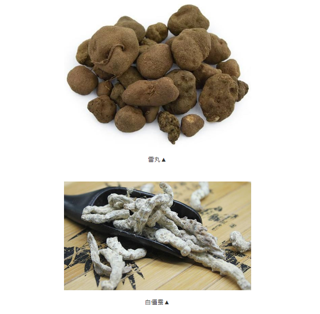 探寻药典古籍中的菌物药