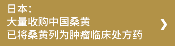 桑黄在国外广泛应用